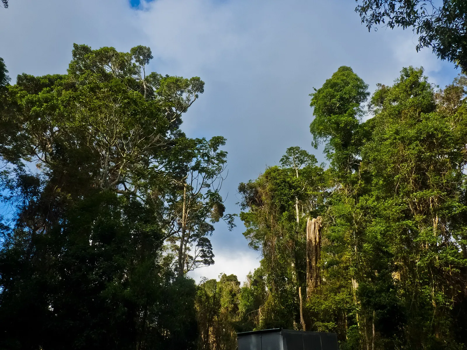 National parks guide photograph