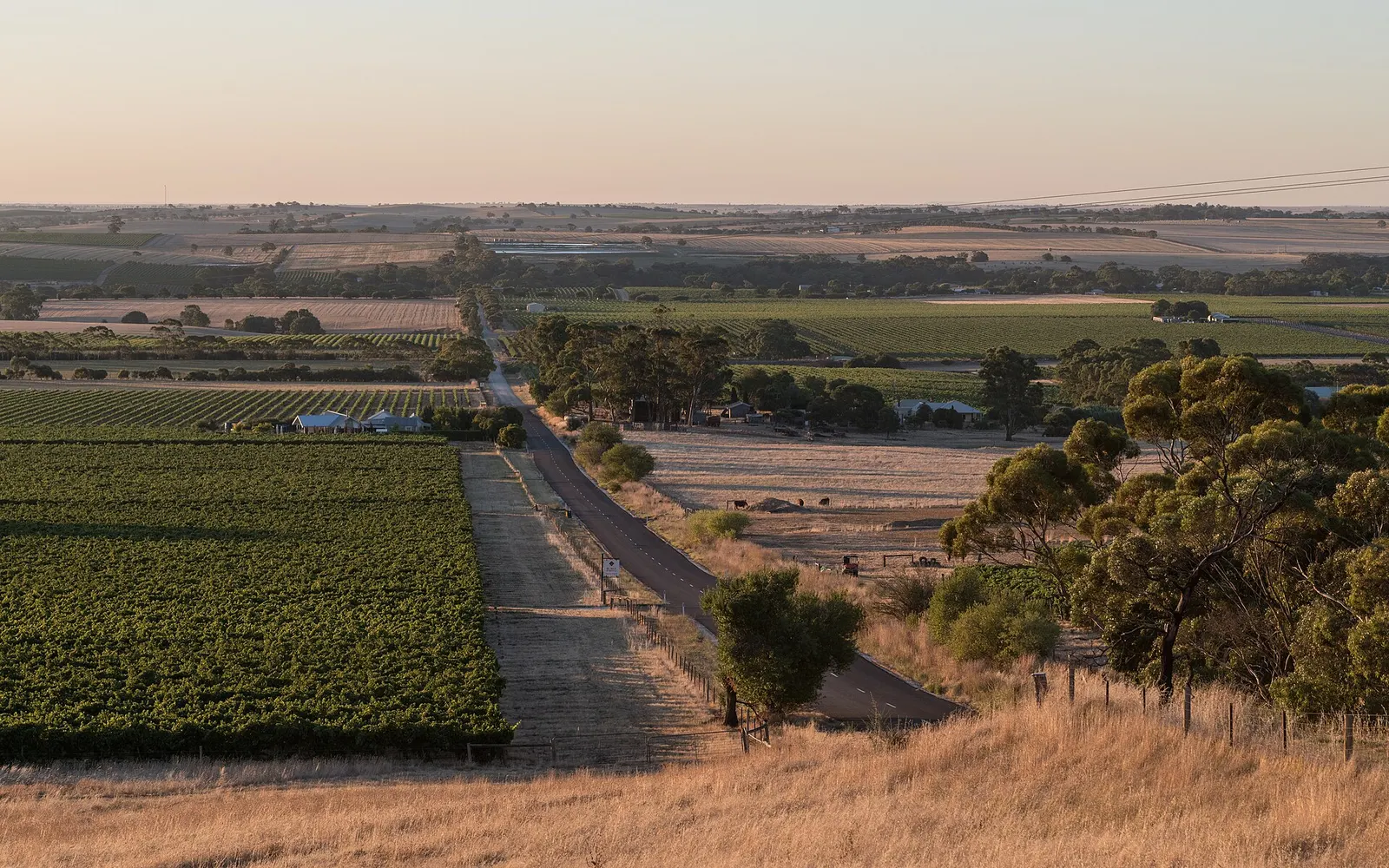 Wineries guide photograph
